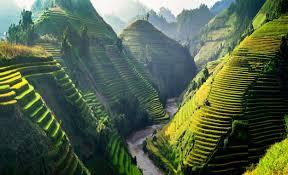 Vietnam Tour — 7 Nights / 8 Days
