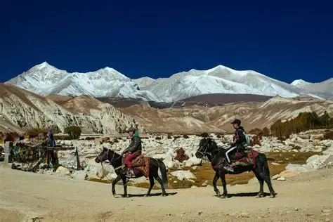 Lower Mustang